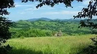 REZEVATIE NATURALA DIN BANI UNIVERSITARI