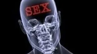CREIERUL BARBATILOR ESTE PROGRAMAT SA SE GANDEASCA LA SEX