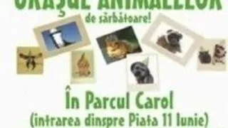 ORASUL ANIMALELOR