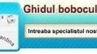 Studentie.ro iti pune la dispozitie "Ghidul bobocului student"