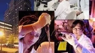 STUDII POSTDOCTORALE LA UNIVERSITATEA DIN MONTREAL
