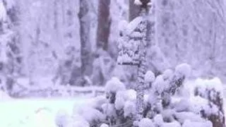 COLIND LA POARTA RAIULUI - TURNEU FUEGO
