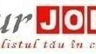 ANALIZA UNUI CURRICULUM VITAE