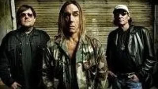 CHITARISTUL LUI IGGY POP A DECEDAT