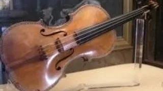 SECRETUL DIN SPATELE VIORILOR STRADIVARIUS