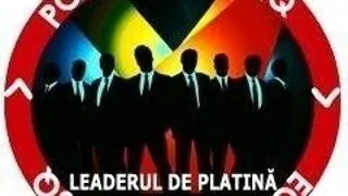 CURS LEADERUL DE PLATINA