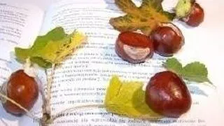 CURS DE INITIERE PENTRU REALIZAREA DE PROIECTE DE SCHIMBURI INTERNATIONALE DE TINERET BI-TRI-MULTI