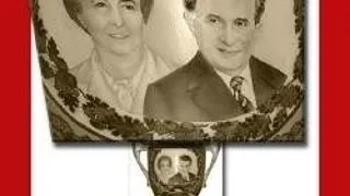EXPOZITIE : ASPECTE ALE CULTULUI PERSONALITATII (II). OMAGIU DE… PORTELAN
