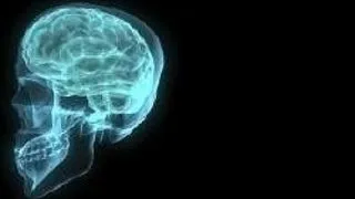 REGIUNILE RELIGIOASE ALE CREIERULUI, DESCOPERITE DE CERCETATORI