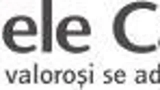 ZILELE CARIEREI