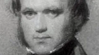 SECRETELE STUDENTIEI LUI DARWIN, DESLUSITE DE CERCETATORI