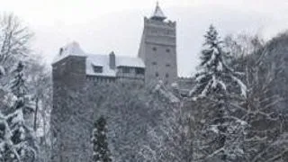 BRAN