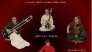 CONCERT DE MUZICA INDIANA: CULORI DE PRIMAVARA
