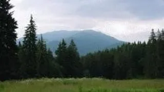 PREDEAL- CIOPLEA - SUSAI