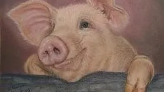 Gripa porcina - simptome si tratament