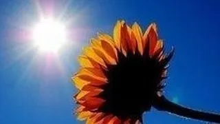 VERSURI JESUS JACKSON - RUNNING ON SUNSHINE