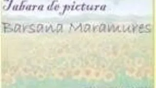 CURS DE PICTURA