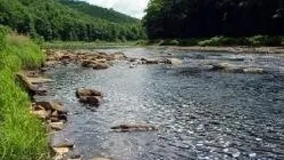 Studentii voluntari au ecologizat Valea Jiului