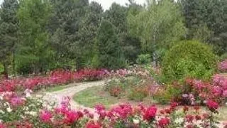 EXPOZITIA FLORI DE TOAMNA LA GRADINA BOTANICA DIN IASI