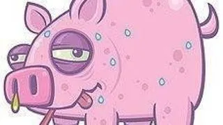 VACCINUL IMPOTRIVA GRIPEI PORCINE: INTREBARI SI RASPUNSURI