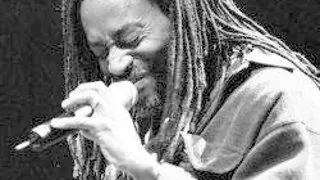 CONCERT BOBBY McFERRIN LA SALA PALTULUI