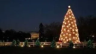 FEERIE DE CRACIUN IN PARCUL CISMIGIU