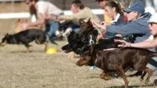 STUDENTII TIMISORENI ISI FAC BANII DIN PARIURI SPORTIVE