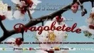 DRAGOBETELE LA MUZEUL SATULUI
