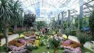 EXPOZITIE DE PLANTE EXOTICE LA GRADINA BOTANICA DIN IASI
