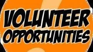 VIITOR PLUS CAUTA VOLUNTARI