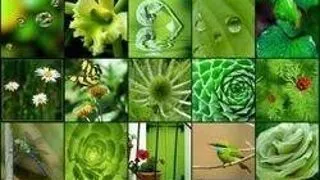 Traieste (eco)studenteste!