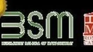 CURSURI DE BUSINESS LA BUCHAREST SCHOOL OF MANAGEMENT