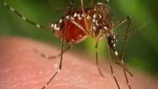 VACCINURI ZBURATOARE