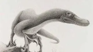 Descoperire studenteasca: Dinozaurul cu gheare