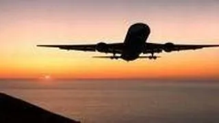 Vopsea 'rechin' pentru pasarile cerului
