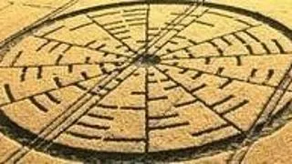 Cerc matematic bizar in lanul de rapita