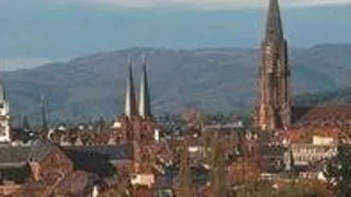 PhD Positions at Spemann Graduate School of Biology and Medicine, Germany