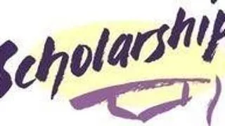 Curriculum Research Fellowships