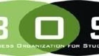 BUSINESS ORGANIZATION FOR STUDENTS - ROMANIA