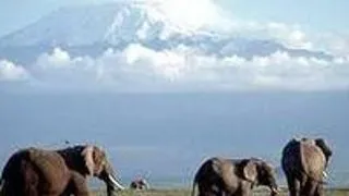 Africa poposeste in Parcul Herastrau