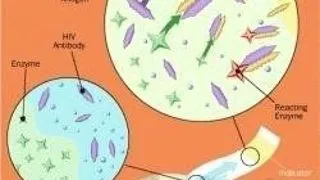 TESTUL HIV