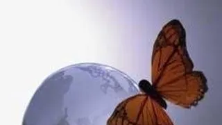 VINE ADREVOLUTION 2