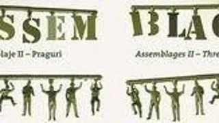 Atelier experimental: Asamblaje II ? Praguri la Sibiu