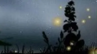Licuricii isi sincronizeaza luminitele pentru a se imperechea