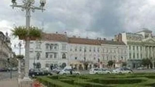 Profesor roman, membru al Academiei Sarbe pentru Educatie