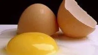 Cercetatorii au descoperit cum se formeaza oul