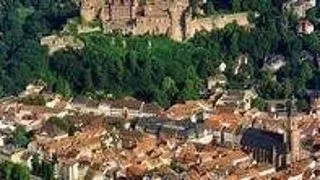5 PhD Fellowships in Pure Mathematics 2010, Germany