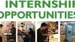 Internship platit la OHIM