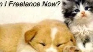 Esti freelancer? Participa la conferinta 'Tu esti o afacere!'