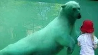 5 curiozitati din lumea animalelor